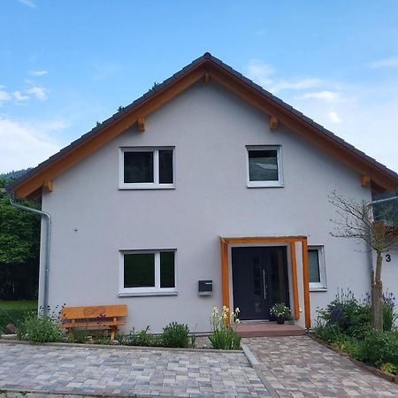 Fewo Am Neckarsteig Mit Anbindung An Heidelberg Neckarsteinach Εξωτερικό φωτογραφία