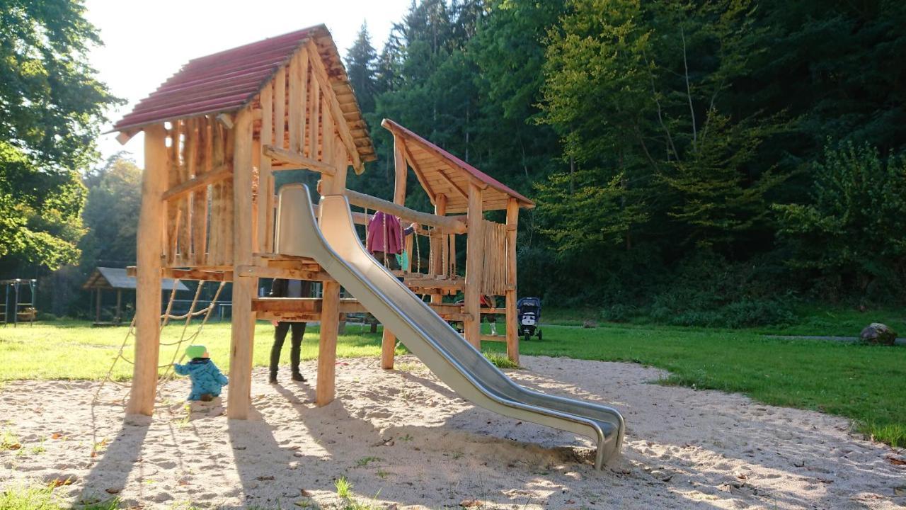 Fewo Am Neckarsteig Mit Anbindung An Heidelberg Neckarsteinach Εξωτερικό φωτογραφία