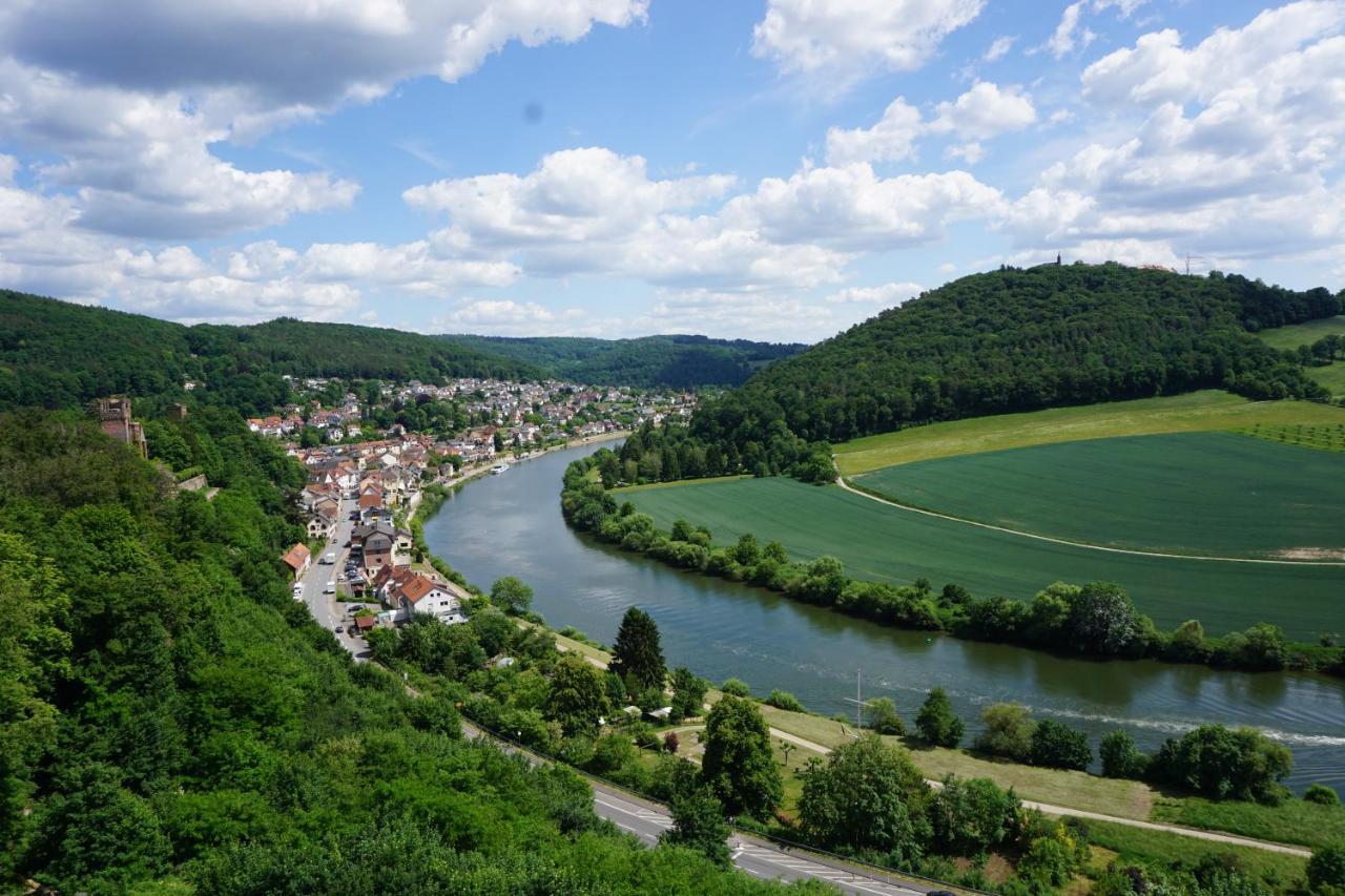 Fewo Am Neckarsteig Mit Anbindung An Heidelberg Neckarsteinach Εξωτερικό φωτογραφία