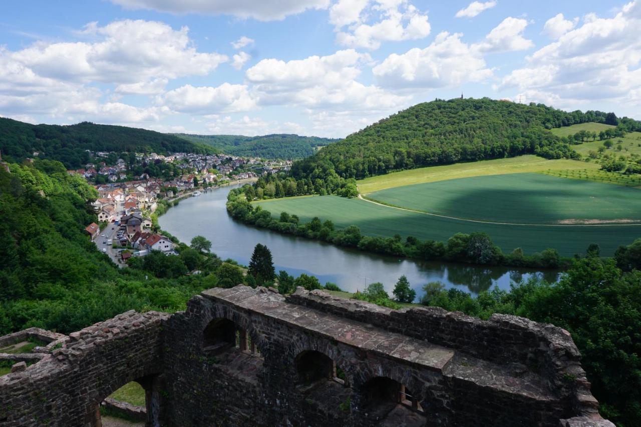 Fewo Am Neckarsteig Mit Anbindung An Heidelberg Neckarsteinach Εξωτερικό φωτογραφία