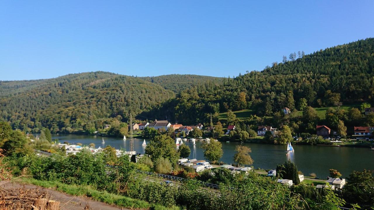 Fewo Am Neckarsteig Mit Anbindung An Heidelberg Neckarsteinach Εξωτερικό φωτογραφία