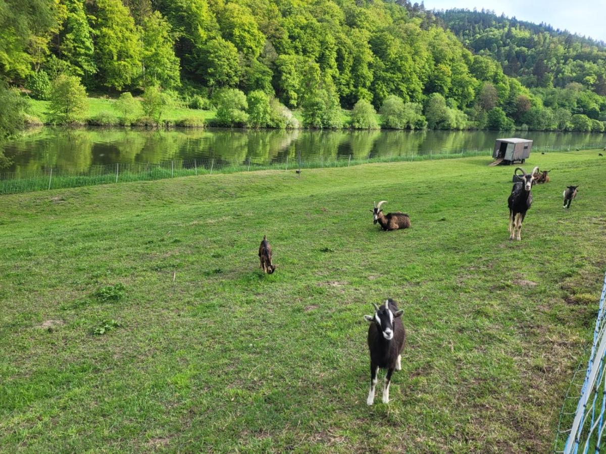 Fewo Am Neckarsteig Mit Anbindung An Heidelberg Neckarsteinach Εξωτερικό φωτογραφία